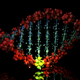 Illustration for article titled New Technique Allows Bioengineers To Reprogram Genetic Code